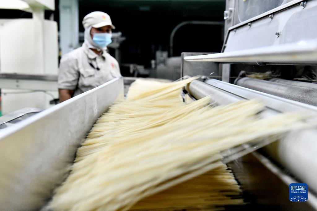 永利国际澳门7号娱乐